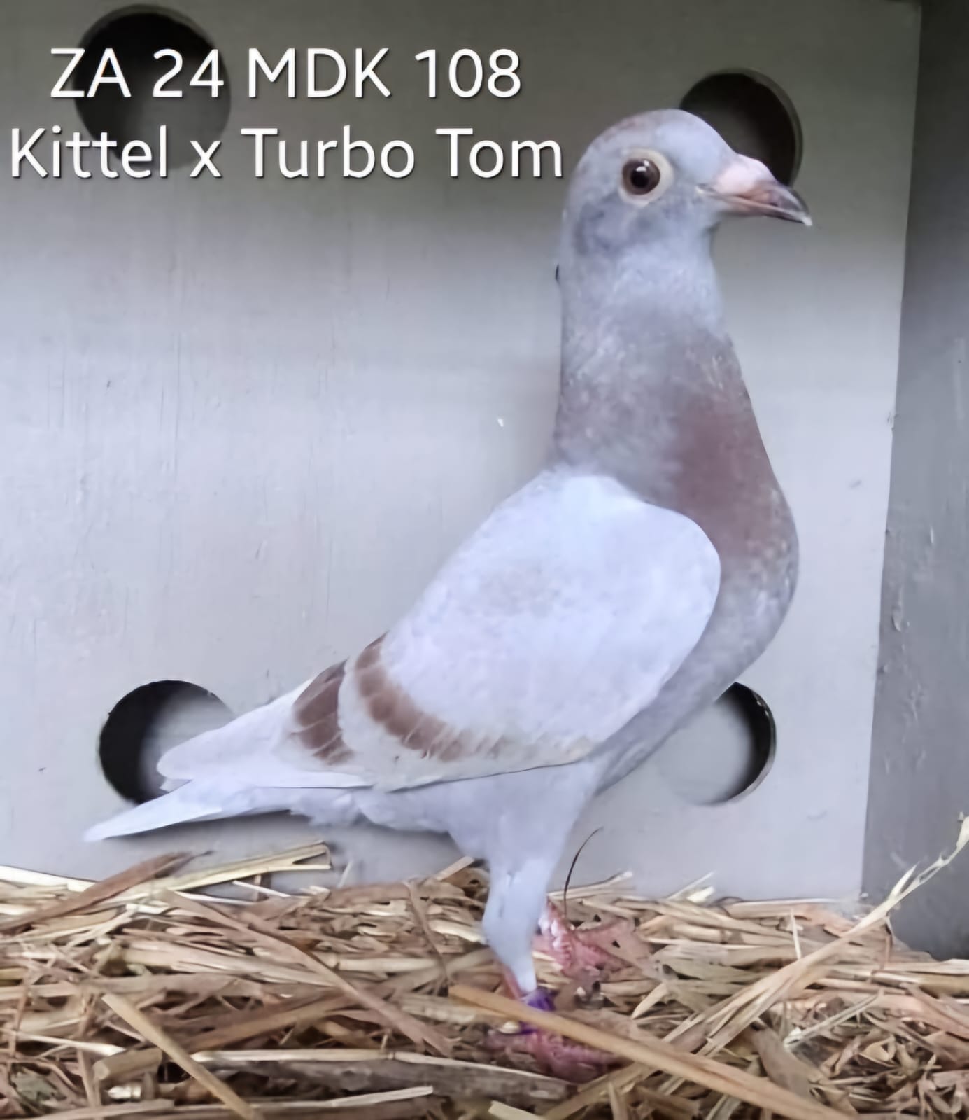 WhatsApp Image 2024-11-23 at 10.43.25