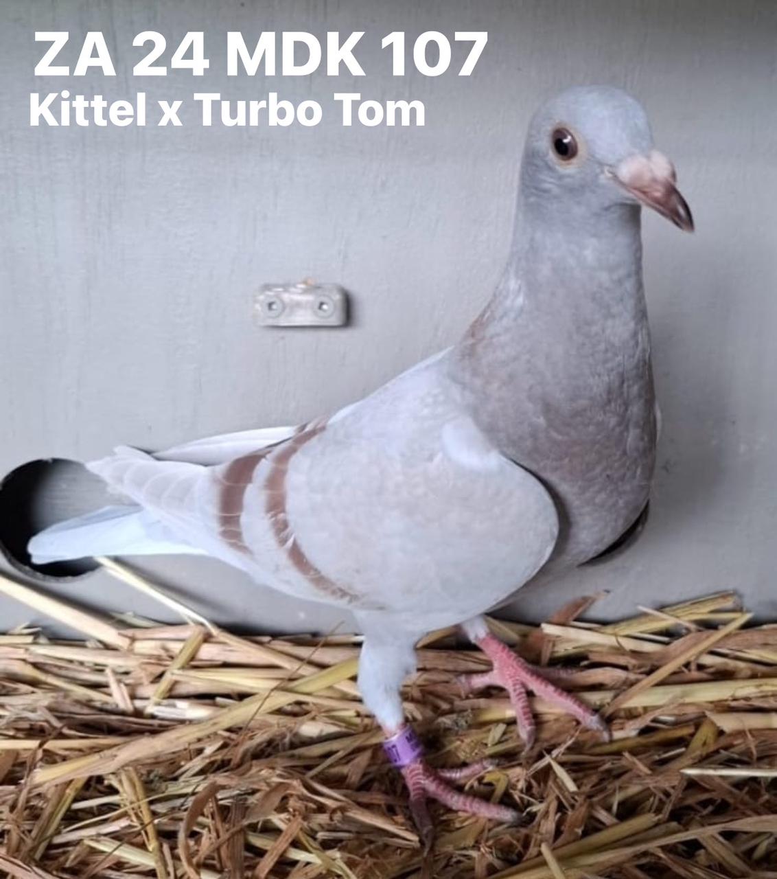 WhatsApp Image 2024-11-23 at 10.44.31